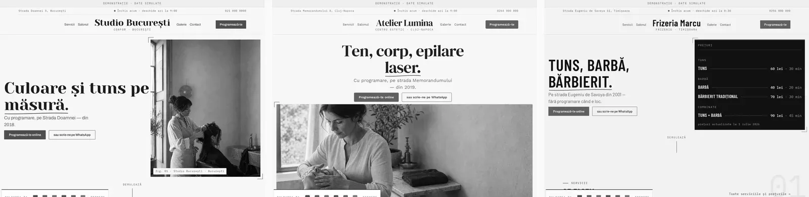 Aceleași trei site-uri demonstrative, fără culoare: coafor, centru estetic, frizerie